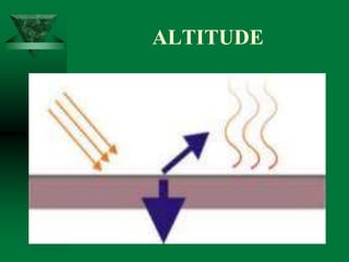ALTITUDE
 