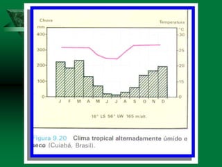 CLIMA : FATORES E ELEMENTOS