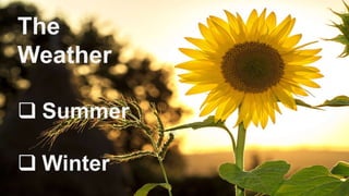 The
Weather
? Summer
? Winter
 