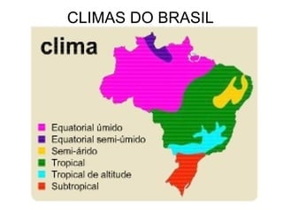 CLIMAS DO BRASIL 