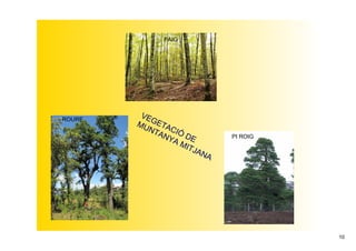 FAIG




         VE
ROURE       G
        MU ETA
           NT   C
              AN IÓ D          PI ROIG
                YA     E
                    MI  
                      TJA
                          NA




                                         10
 