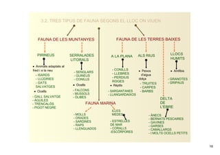 3.2. TRES TIPUS DE FAUNA SEGONS EL LLOC ON VIUEN



   FAUNA DE LES MUNTANYES                        FAUNA DE LES TERRES BAIXES


   PIRINEUS              SERRALADES                           ALS RIUS            LLOCS 
                                            A LA PLANA
                          LITORALS                                                HUMITS

• Animals adaptats al 
fred i a la neu                             ­ CONILLS         • Peixos            • Amfibis
                          ­ SENGLARS        ­ LLEBRES
  ­ ISARDS                ­ GUINEUS                             d'aigua    
  ­ LLÚDRIES                                ­ PERDIUS         dolça
                          ­ CONILLS                                              ­ GRANOTES
  ­ GATS                                    ROGES                                ­ GRIPAUS
                          • Ocells                             ­ TRUITES
  SALVATGES                                • Rèptils
                                                               ­ CARPES
 • Ocells                 ­ FALCONS       ­ SARGANTANES        ­ BARBS
                          ­ MUSSOLS       ­ LLANGARDAIXOS
­ GALL SALVATGE           ­ ÒLIBES
­ ÀGUILES                                                                     DELTA 
­ TRENCALÓS                       FAUNA MARINA                                DE 
­ PIGOT NEGRE                                                                 L'EBRE
                                            ILLES 
                          ­ MOLLS           MEDES                    ­ ÀNECS
                          ­ ORADES                                   ­ BERNATS PESCAIRES
                          ­ SARDINES       ­ ESTRELLES               ­ GAVINES
                          ­ RAPS           DE MAR                    ­ GARSES
                          ­ LLENGUADOS     ­ CORALLS                 ­ CAMALLARGS
                                           ­ESCÒRPORES               ­ I MOLTS OCELLS PETITS



                                                                                               16
 