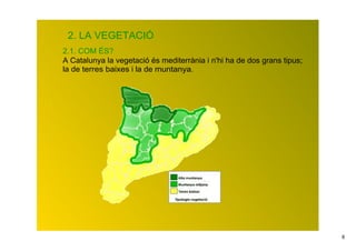 2. LA VEGETACIÓ
2.1. COM ÉS?
A Catalunya la vegetació és mediterrània i n'hi ha de dos grans tipus;
la de terres baixes i la de muntanya.




                                                                         6
 