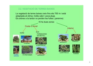 2.2. VEGETACIÓ DE TERRES BAIXES

   La vegetació de terres baixes creix fins els 700 m i està 
   adaptada al clima; molta calor i poca pluja.
   Els arbres a la tardor no perden les fulles ( perenne)
                                     Hi ha dues zones:

                   Costa o litoral
                                                                    Interior
                               SUD
           NORD
                                FORMACIONS 
                                DE MATOLL



ALZINES                                                                   FARIGOLA
                                                         MARGALLÓ
              PI BLANC
                                LLENTISCLE



                                                         LLENTISCLE
                                                                           ROMANÍ
ALZINES      PI PINYONER         MARGALLÓ
SURERES




                                                                                     7
 