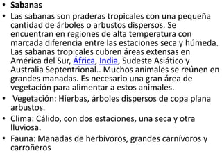 • Sabanas
• Las sabanas son praderas tropicales con una pequeña
cantidad de árboles o arbustos dispersos. Se
encuentran en regiones de alta temperatura con
marcada diferencia entre las estaciones seca y húmeda.
Las sabanas tropicales cubren áreas extensas en
América del Sur, África, India, Sudeste Asiático y
Australia Septentrional.. Muchos animales se reúnen en
grandes manadas. Es necesario una gran área de
vegetación para alimentar a estos animales.
• Vegetación: Hierbas, árboles dispersos de copa plana
arbustos.
• Clima: Cálido, con dos estaciones, una seca y otra
lluviosa.
• Fauna: Manadas de herbívoros, grandes carnívoros y
carroñeros
 
