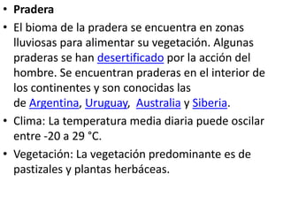 • Pradera
• El bioma de la pradera se encuentra en zonas
lluviosas para alimentar su vegetación. Algunas
praderas se han desertificado por la acción del
hombre. Se encuentran praderas en el interior de
los continentes y son conocidas las
de Argentina, Uruguay, Australia y Siberia.
• Clima: La temperatura media diaria puede oscilar
entre -20 a 29 °C.
• Vegetación: La vegetación predominante es de
pastizales y plantas herbáceas.
 
