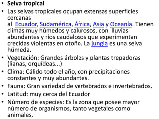 • Selva tropical
• Las selvas tropicales ocupan extensas superficies
cercanas
al Ecuador, Sudamérica, África, Asia y Oceanía. Tienen
climas muy húmedos y calurosos, con lluvias
abundantes y ríos caudalosos que experimentan
crecidas violentas en otoño. La jungla es una selva
húmeda.
• Vegetación: Grandes árboles y plantas trepadoras
(lianas, orquídeas...)
• Clima: Cálido todo el año, con precipitaciones
constantes y muy abundantes.
• Fauna: Gran variedad de vertebrados e invertebrados.
• Latitud: muy cerca del Ecuador
• Número de especies: Es la zona que posee mayor
número de organismos, tanto vegetales como
animales.
 