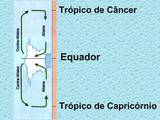 Trópico de Câncer
Trópico de Capricórnio
Equador
 