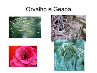 Orvalho e Geada

 