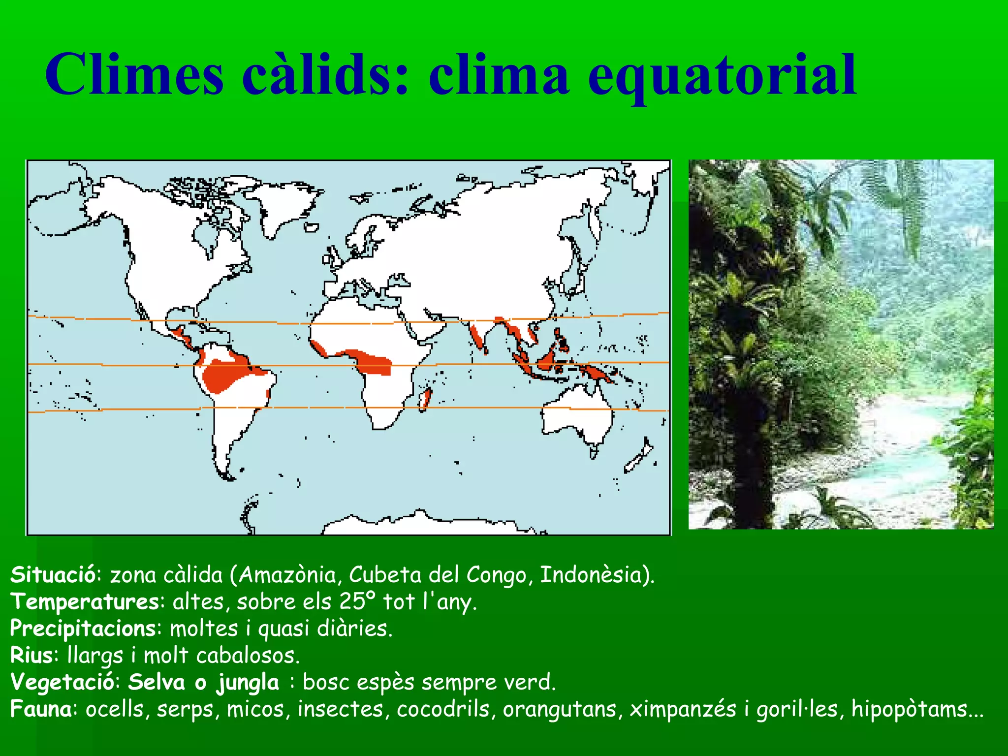 Climes càlids: clima equatorial  Situació : zona càlida (Amazònia, Cubeta del Congo, Indonèsia). Temperatures : altes, sobre els 25º tot l'any.  Precipitacions : moltes i quasi diàries. Rius : llargs i molt cabalosos. Vegetació :  Selva o jungla  : bosc espès sempre verd. Fauna : ocells, serps, micos, insectes, cocodrils, orangutans, ximpanzés i goril·les, hipopòtams... 