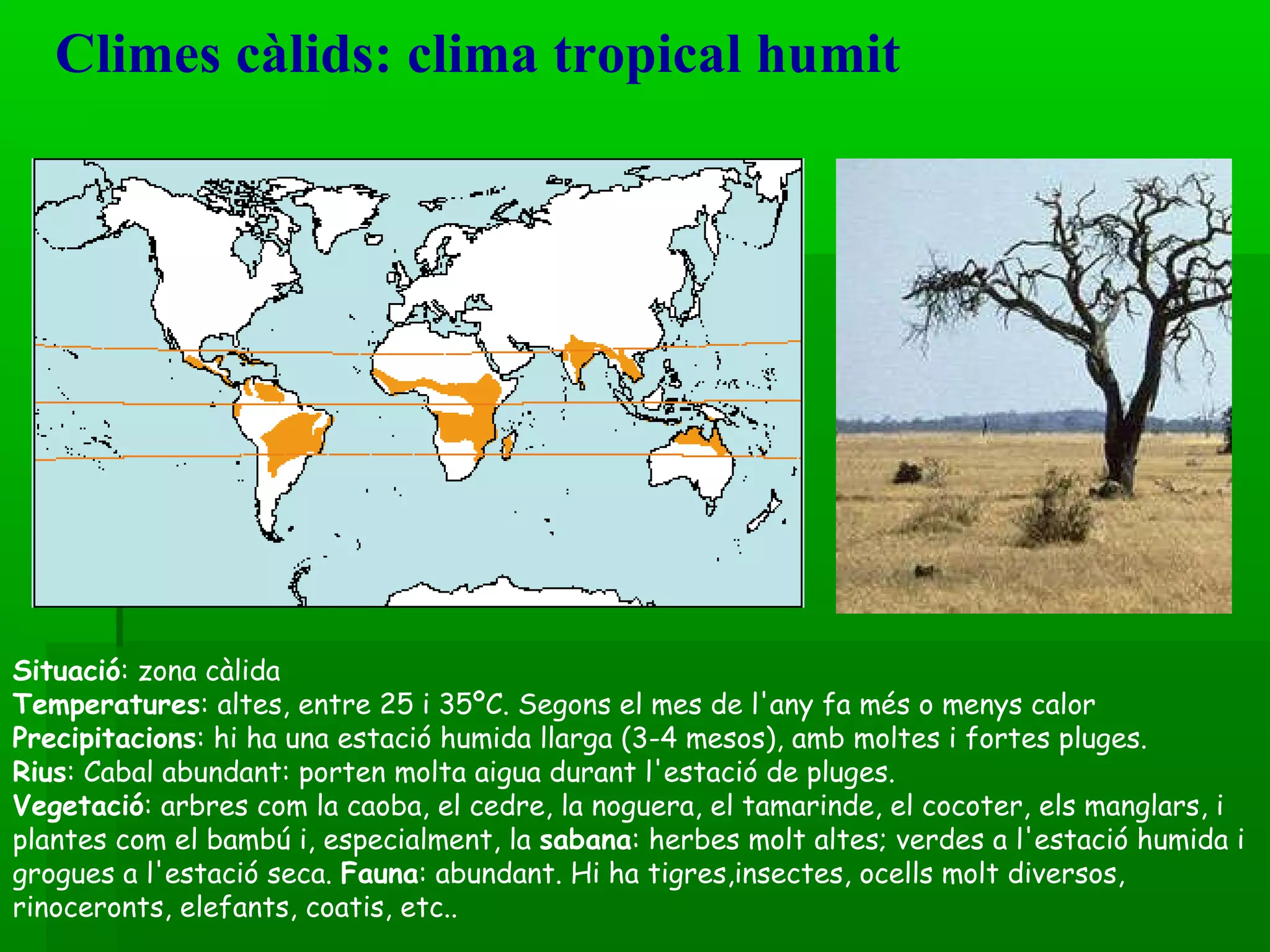 Climes càlids: clima tropical humit  Situació : zona càlida  Temperatures : altes, entre 25 i 35ºC. Segons el mes de l'any fa més o menys calor  Precipitacions : hi ha una estació humida llarga (3-4 mesos), amb moltes i fortes pluges.  Rius : Cabal abundant: porten molta aigua durant l'estació de pluges. Vegetació : arbres com la caoba, el cedre, la noguera, el tamarinde, el cocoter, els manglars, i plantes com el bambú i, especialment, la  sabana : herbes molt altes; verdes a l'estació humida i grogues a l'estació seca.  Fauna : abundant. Hi ha tigres,insectes, ocells   molt diversos, rinoceronts, elefants, coatis, etc..  