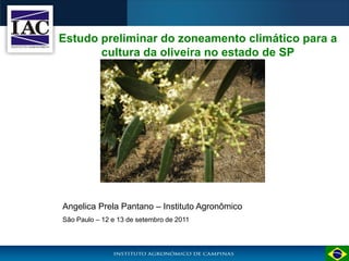 Estudo preliminar do zoneamento climático para a
       cultura da oliveira no estado de SP




Angelica Prela Pantano – Instituto Agronômico
São Paulo – 12 e 13 de setembro de 2011
 
