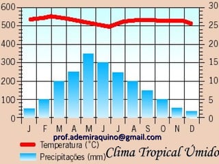 prof.ademiraquino@gmail.com
            Clima Tropical Úmido
 