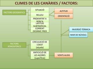 CLIMES DE LES CANÀRIES / FACTORS:
FACTORS GEOGRÀFICS
FACTORS
ATMOSFÈRICS
SITUACIÓ
RELLEU ORIENTACIÓ
ALTITUD
PROXIMITAT A
ÀFRICA
LATITUD
SUBTROPICAL
CORRENT
OCEÀNIC FRED
CIRCULACIÓ DE
L’OEST
(alçada)
ANTICICLÓ DE
LES AÇORES
(superfície)
VENTS ALISIS
MAR DE NÚVOLS
INVERSIÓ TÈRMICA
 