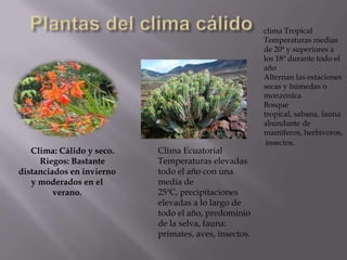 clima Tropical
                                                       Temperaturas medias
                                                       de 20ª y superiores a
                                                       los 18ª durante todo el
                                                       año
                                                       Alternan las estaciones
                                                       secas y húmedas o
                                                       monzónica
                                                       Bosque
                                                       tropical, sabana, fauna
                                                       abundante de
                                                       mamíferos, herbívoros,
                                                        insectos.
   Clima: Cálido y seco.   Clima Ecuatorial
     Riegos: Bastante      Temperaturas elevadas
distanciados en invierno   todo el año con una
   y moderados en el       media de
         verano.           25ºC, precipitaciones
                           elevadas a lo largo de
                           todo el año, predominio
                           de la selva, fauna:
                           primates, aves, insectos.
 