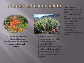 clima Tropical
                                                        Temperaturas medias
                               ...