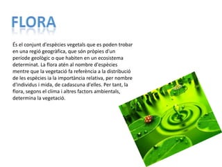 És el conjunt d'espècies vegetals que es poden trobar
en una regió geogràfica, que són pròpies d'un
període geològic o que habiten en un ecosistema
determinat. La flora atén al nombre d'espècies
mentre que la vegetació fa referència a la distribució
de les espècies ia la importància relativa, per nombre
d'individus i mida, de cadascuna d'elles. Per tant, la
flora, segons el clima i altres factors ambientals,
determina la vegetació.
 