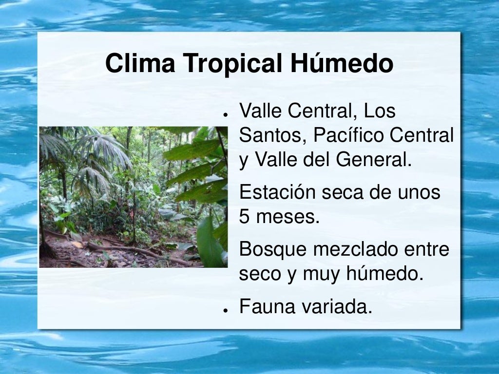 01 Discorra Sobre As Principais Características Do Clima Tropical