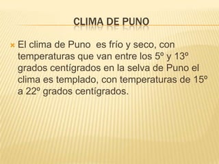 CLIMA DE PUNO

   El clima de Puno es frío y seco, con
    temperaturas que van entre los 5º y 13º
    grados centígrados en la selva de Puno el
    clima es templado, con temperaturas de 15º
    a 22º grados centígrados.
 