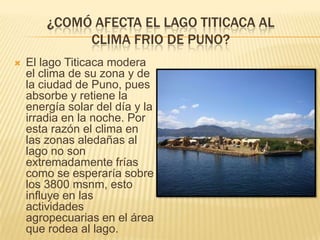 ¿COMÓ AFECTA EL LAGO TITICACA AL
             CLIMA FRIO DE PUNO?
   El lago Titicaca modera
    el clima de su zona y de
    la ciudad de Puno, pues
    absorbe y retiene la
    energía solar del día y la
    irradia en la noche. Por
    esta razón el clima en
    las zonas aledañas al
    lago no son
    extremadamente frías
    como se esperaría sobre
    los 3800 msnm, esto
    influye en las
    actividades
    agropecuarias en el área
    que rodea al lago.
 