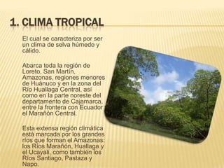 1. CLIMA TROPICAL
  El cual se caracteriza por ser
  un clima de selva húmedo y
  cálido.

  Abarca toda la región de
  Loreto, San Martín,
  Amazonas, regiones menores
  de Huánuco y en la zona del
  Río Huallaga Central, así
  como en la parte noreste del
  departamento de Cajamarca,
  entre la frontera con Ecuador y
  el Marañón Central.

  Esta extensa región climática
  está marcada por los grandes
  ríos que forman el Amazonas:
  los Ríos Marañón, Huallaga y
  el Ucayali, como también los
  Ríos Santiago, Pastaza y
  Napo.
 