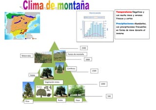 Temperaturas-Negativas y
                                                                                          con mucha nieve y veranos
                                                                                          frescos y cortos

                                                                                          Precipitaciones-Abundantes,
                                                                                          con precipitaciones frecuentes
                                                                                          en forma de nieve durante el
                                                                                          invierno




                                                            2500


                                         Pastos de montaña
Matorrales
                                                               2000



                                         Coníferas
                                                                      1500

           Roble


                   Vegetación mixta
                                                                             1000




                                                                                    500
                                 Roble               Haya
    Pino
 