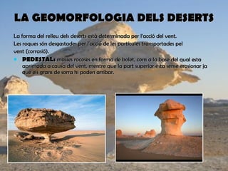 LA   GEOMORFOLOGIA DELS DESERTS La forma del relleu dels deserts està determinada per l’acció del vent. Les roques són desgastades per l'acció de les partícules transportades pel vent (corrasió). PEDESTAL:  masses rocoses en forma de bolet, com a la base del qual esta aprimada a causa del vent, mentre que la part superior esta sense erosionar ja que els grans de sorra hi poden arribar. 