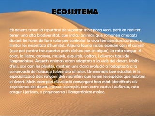 Els deserts tenen la reputació de suportar molt poca vida, però en realitat tenen una alta biodiversitat, que inclou animals que romanen amagats durant les hores de llum solar per controlar la seva temperatura corporal o limitar les necessitats d'humitat. Alguna fauna inclou espècies com el camell (que pot perdre tres quartes parts del seu pes en aigua), la rata cangur, el coiot, la llebre, aranyes, mussols, esquirols, voltors, i diversos tipus de llargandaixos. Aquests animals estan adaptats a la vida del desert. Molts d'ells, així com les plantes, mostren una clara evolució a l'adaptació a la conservació de l'aigua o tolerància al calor. Un exemple ben estudiat és la especialització dels ronyons dels mamífers que tenen les espècies que habiten el desert. Molts exemples d'evolució convergent han estat identificats als organismes del desert, inclosos exemples com entre cactus i eufòrbia, rata cangur i jerboas, o phrynosoma i llangardaixos moloc.  ECOSISTEMA 
