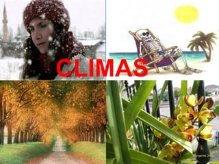 CLIMAS

 