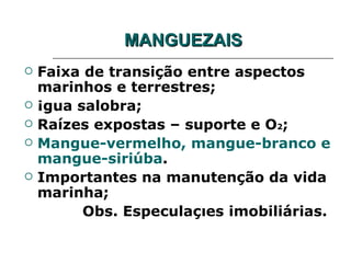 MANGUEZAIS
   Faixa de transição entre aspectos
    marinhos e terrestres;
   Água salobra;
   Raízes expostas – suporte e O2;
   Mangue-vermelho, mangue-branco e
    mangue-siriúba.
   Importantes na manutenção da vida
    marinha;
          Obs. Especulações imobiliárias.
 