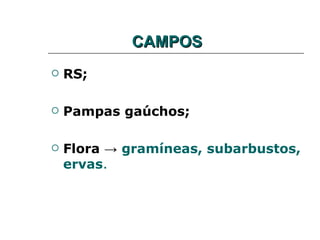 CAMPOS
   RS;

   Pampas gaúchos;

   Flora → gramíneas, subarbustos,
    ervas.
 