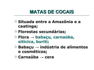 MATAS DE COCAIS
   Situada entre a Amazônia e a
    caatinga;
   Florestas secundárias;
   Flora → babaçu, carnaúba,
    oiticica, buriti;
   Babaçu → indústria de alimentos
    e cosméticos;
   Carnaúba → cera
 