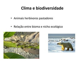 Clima e biodiversidade

• Animais herbívoros pastadores

• Relação entre bioma e nicho ecológico
 