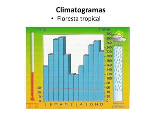 Climatogramas
• Floresta tropical
 