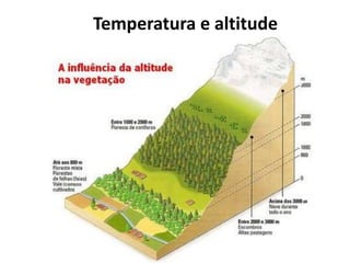 Temperatura e altitude
 