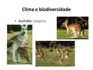 Clima e biodiversidade

• Austrália: cangurus
 