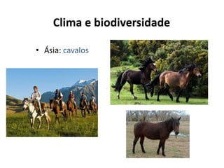 Clima e biodiversidade

• Ásia: cavalos
 
