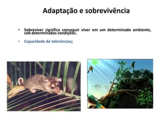 Adaptação e sobrevivência

• Sobreviver significa conseguir viver em um determinado ambiente,
  sob determinadas condições.
• Capacidade de tolerâncias;
 