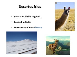 Desertos frios

• Poucas espécies vegetais;

• Fauna limitada;

• Desertos Andinos: Lhamas.
 