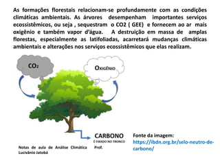 As formações florestais relacionam-se profundamente com as condições
climáticas ambientais. As árvores desempenham importantes serviços
ecossistêmicos, ou seja , sequestram o CO2 ( GEE) e fornecem ao ar mais
oxigênio e também vapor d’água. A destruição em massa de amplas
florestas, especialmente as latifoliadas, acarretará mudanças climáticas
ambientais e alterações nos serviços ecossistêmicos que elas realizam.
Notas de aula de Análise Climática Prof.
Lucivânio Jatobá
Fonte da imagem:
https://ibdn.org.br/selo-neutro-de-
carbono/
 