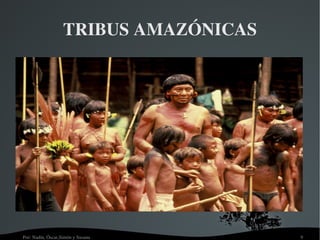 Suelo: pobre por abundancia de precipitaciones