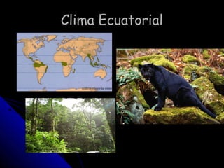 Clima Ecuatorial




  Rida,Nayara,Gonzalo,Jhon 3ºC
 