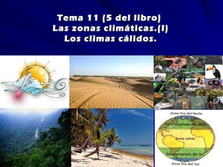 Tema 11 (5 del libro)Tema 11 (5 del libro)
Las zonas climáticas.(I)Las zonas climáticas.(I)
Los climas cálidos.Los climas cálidos.
 