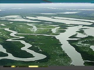 FLEUVES

•Les cours d'eau ont
souvent des débits
gigantesques.
 