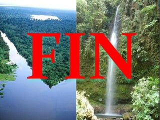 Clima ecuatorial 2003