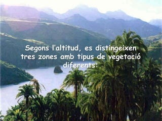 Segons l’altitud, es distingeixen
tres zones amb tipus de vegetació
diferents:
 