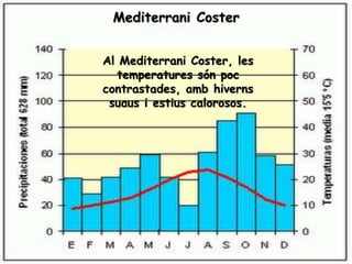Al Mediterrani Coster, les
temperatures són poc
contrastades, amb hiverns
suaus i estius calorosos.
Mediterrani Coster
 
