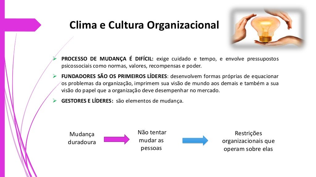 Cultura Organizacional E Clima Organizacional Exemplos De Uma Cultura Forte