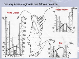 Consequências regionais dos fatores de clima
24
Norte Litoral
Norte Interior
Sul
 
