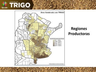 Regiones
Productoras
 